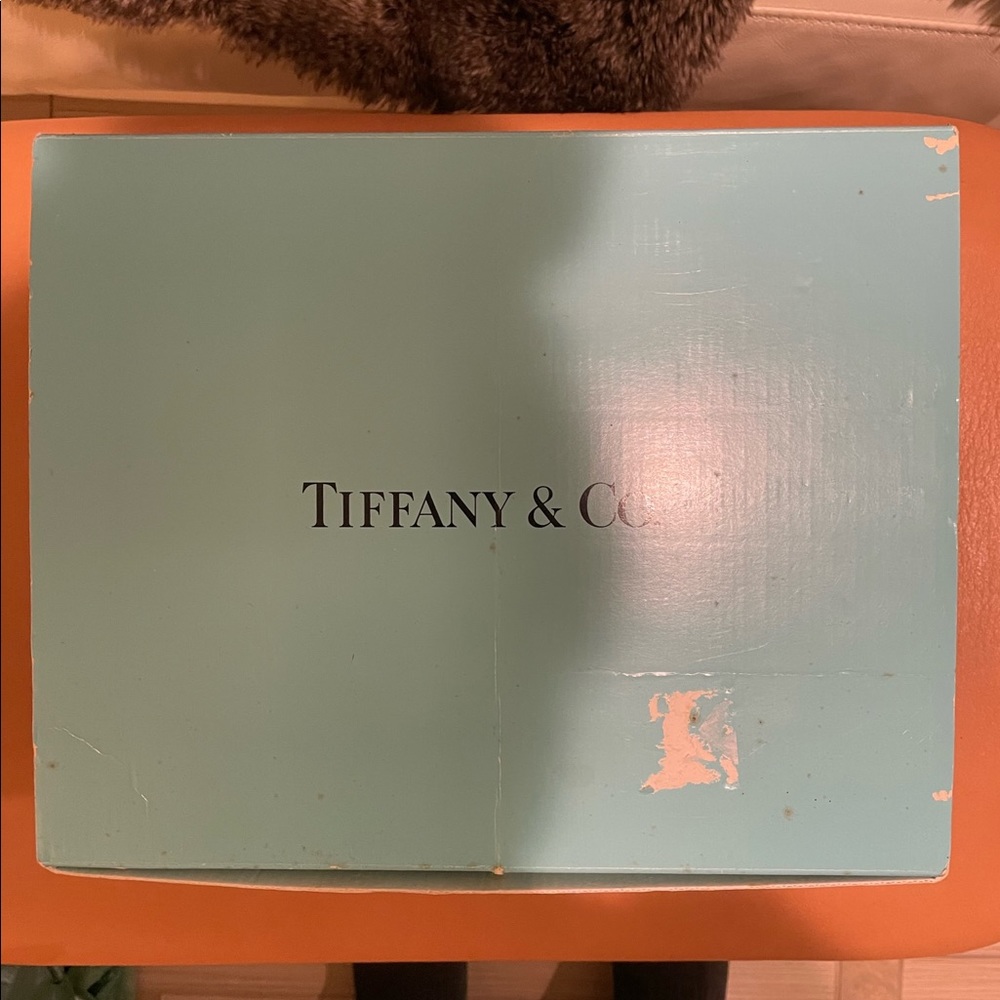 🆕 Tiffany Seashore China Set - Picture 10 of 11